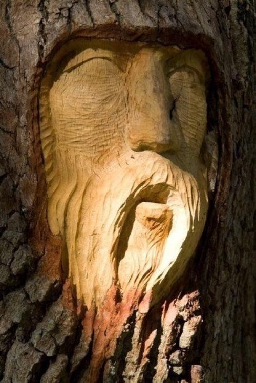 Американский скульптор Кейт дженнингс вырезает лица на пнях и высохших деревьях. 02