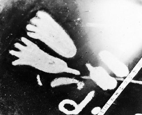 Археологи пытаются разгадать тайну символов шотландского камня кочно. 08