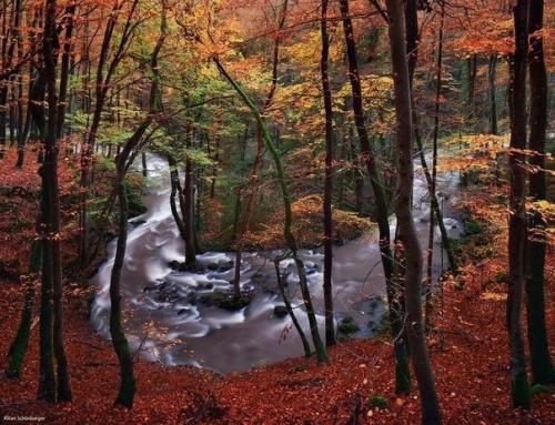 Странствия братьев Гримм. 04