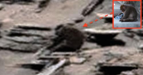 На Марсе обнаружили живую обезьяну.

