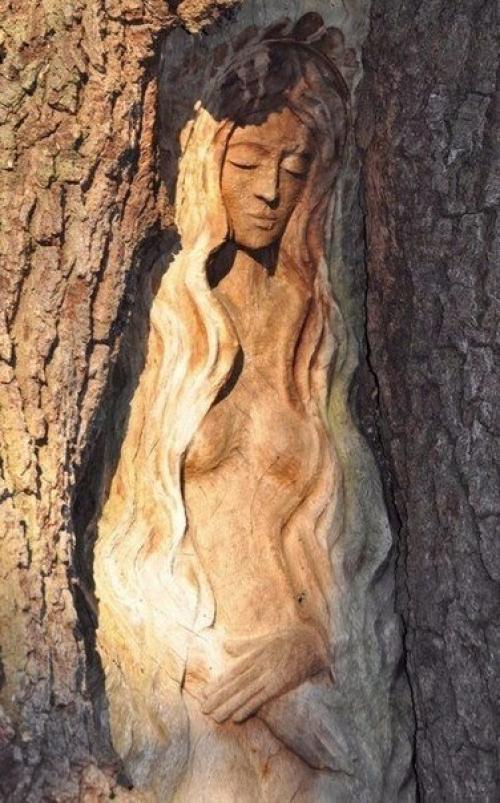 Американский скульптор Кейт дженнингс вырезает лица на пнях и высохших деревьях. 04