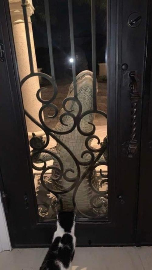 Мощная и пугающая сторона природы. 07