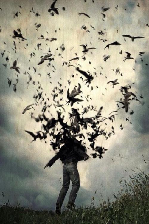 10 элегантных книг для истинных ценителей, которые хотя бы раз нужно прочесть на бумаге.

