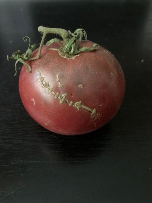 Мощная и пугающая сторона природы. 06