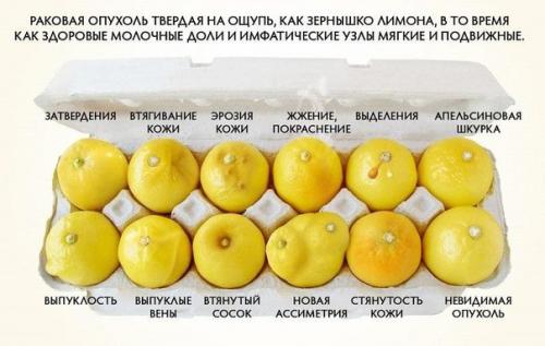 Почему нужно употреблять эти продукты? 

