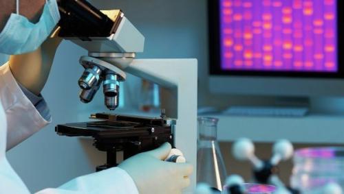 Сибирские ученые создали кристаллы, способные прыгать и менять окраску.