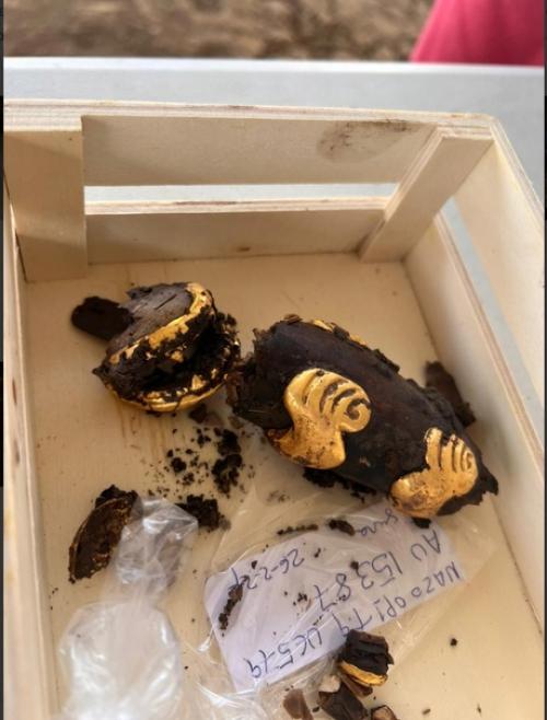 В древней гробнице в панаме обнаружили юбку из собачьих зубов, костяные флейты и много золота. 04 В древней гробнице в панаме обнаружили юбку из собачьих зубов, костяные флейты и много золота. 04