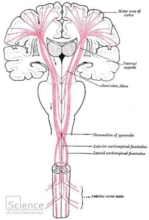 События на 12 марта, суббота. События на 12 марта, суббота.