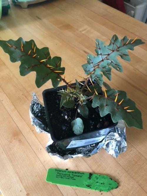 Мощная и пугающая сторона природы. 09