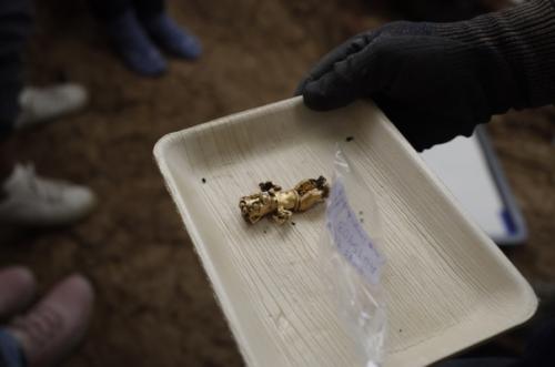 В древней гробнице в панаме обнаружили юбку из собачьих зубов, костяные флейты и много золота. 03 В древней гробнице в панаме обнаружили юбку из собачьих зубов, костяные флейты и много золота. 03