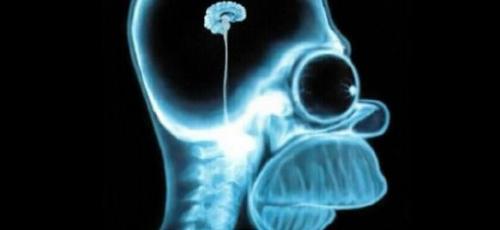 Без физкультуры мозг деградирует. Без физкультуры мозг деградирует.