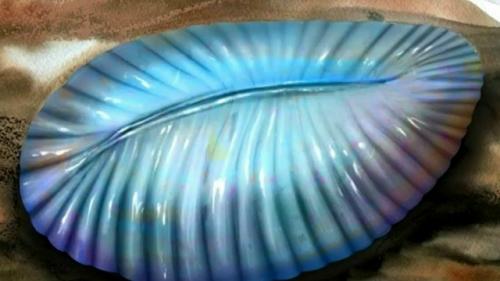 Вендские организмы животными оказались.

