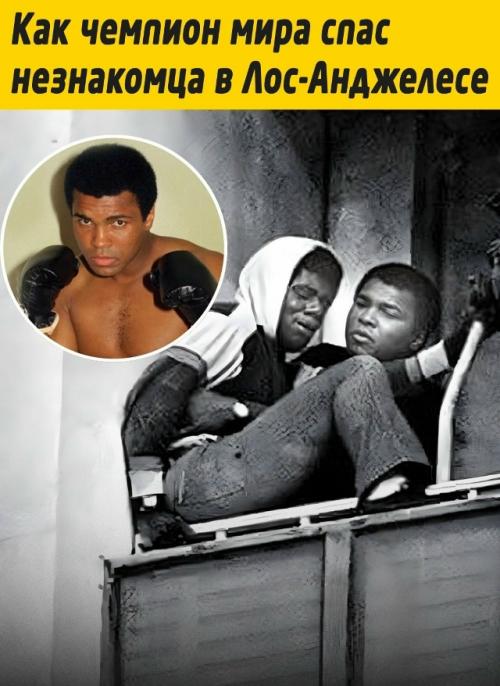 В 1981 году Мухаммед али спас мужчину от прыжка с высоты. 


