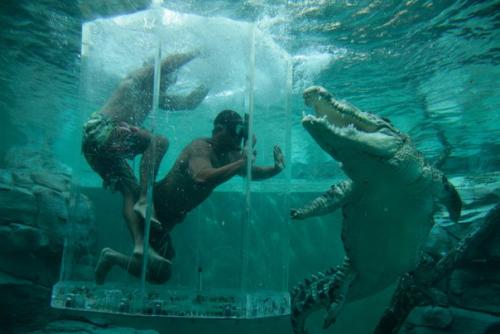 Персиковый градиент.

Создать растяжку цвета на ногте можно и без дополнительных инструментов, просто используя кисти покрытий.  