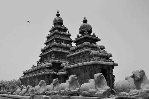 Махабалипурам (Индия). Махабалипурам - это самое уникальное, необыкновенное и исторически богатейшее место. 03