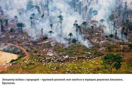 На грани апокалипсиса: влияние человеческой деятельности на землю. 08