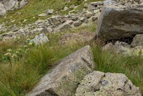 Мегалиты приэльбрусья, кабардино - балкарская республика. 05