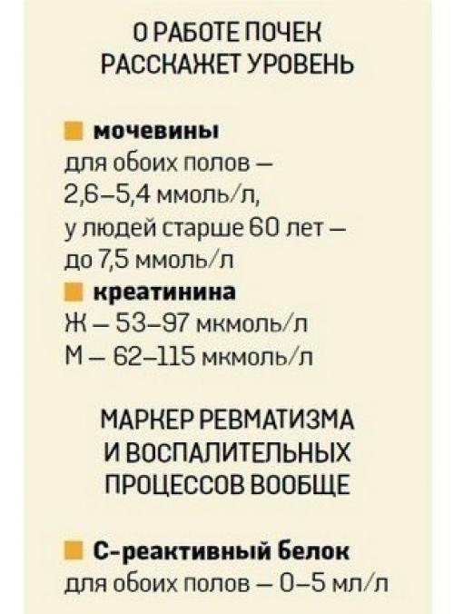 О чем может рассказать анализ вашей крови? 02