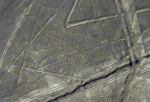 Разгадана тайна линий Наска.
