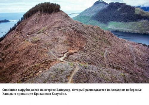 На грани апокалипсиса: влияние человеческой деятельности на землю. 02