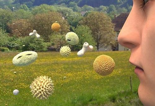 Круглый год наш организм риску развития сезонных заболеваний подвержен.