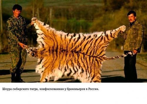 На грани апокалипсиса: влияние человеческой деятельности на землю. 01