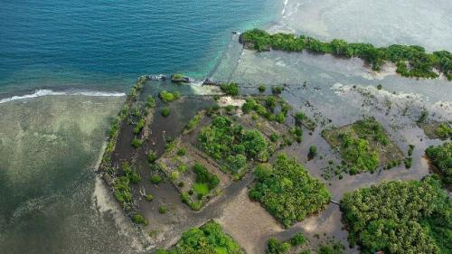 Среди островов Микронезии есть небольшой вулканический островок темуен и расположенный на нем древний город Нан - мадол.
