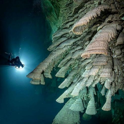 В глубине сенота эль сапоте в Мексике образовались уникальные сталактиты, которые дайверы прозвали 