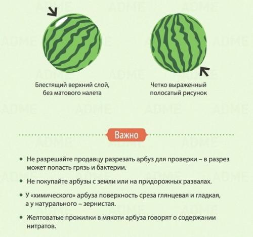 8 признаков хорошего арбуза. 02