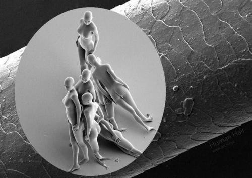 Таким образом, Если бы не этот карантин…. 02