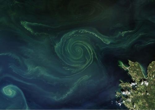 Такие маленькие, но видны из космоса. 02