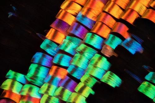 Крылья бабочек под микроскопом.