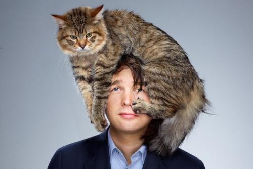 Почему кошка на больное место человека ложится? 

