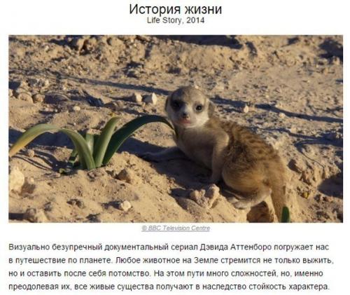 10 британских сериалов, которые стоит посмотреть. 01