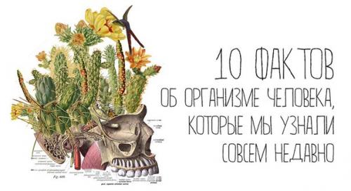 Мы пытаемся найти новую информацию в глубинах океана и в дальних уголках космоса. Мы пытаемся найти новую информацию в глубинах океана и в дальних уголках космоса.