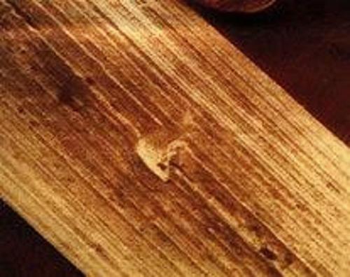 Самородный вольфрам нарады. 04 Самородный вольфрам нарады. 04