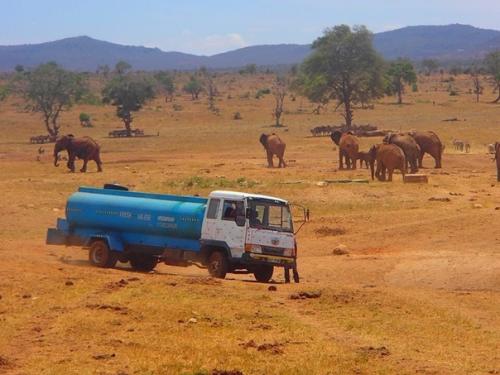 В Кении мужчина по имени Патрик не смог смотреть на то как животные страдают от засухи. 05