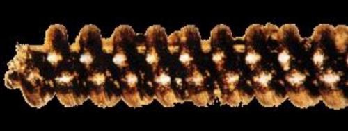 Самородный вольфрам нарады. 01 Самородный вольфрам нарады. 01