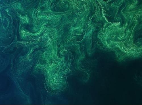 Такие маленькие, но видны из космоса. 01