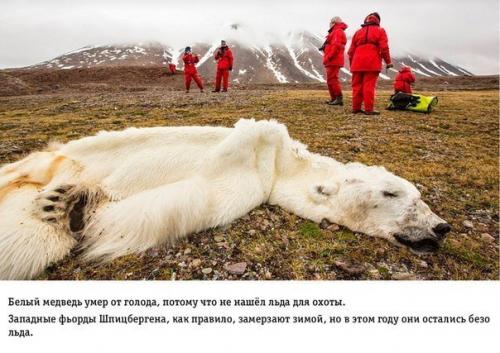На грани апокалипсиса: влияние человеческой деятельности на землю. 07
