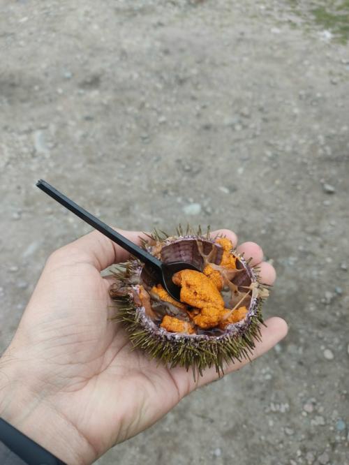 Какая еда заставляет вас задаваться вопросом: 