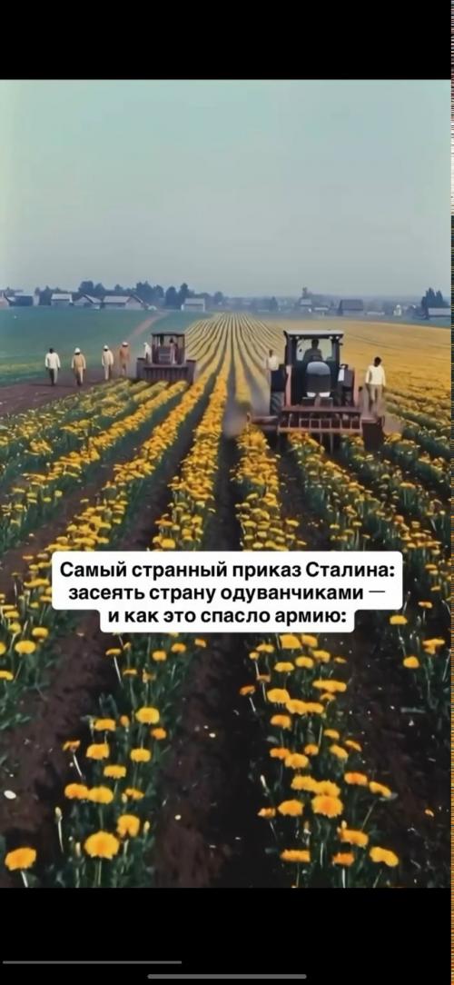 1941 год.  Великая отечественная война начинается. 01