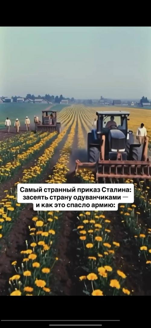 1941 год.  Великая отечественная война начинается. 02