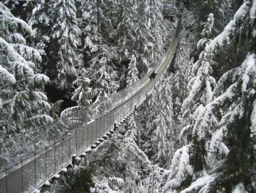 Висячий мост капилано (Ванкувер, Канада). 07