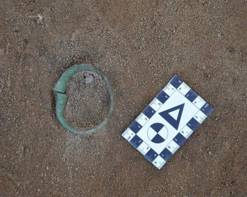 Череп коня и коготь медведя: в калининградской области исследован некрополь скальвов. 03