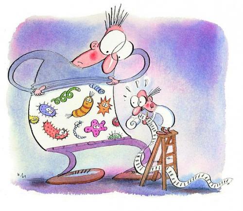 Десятикратное превосходство микробов в человеке развеяно.

