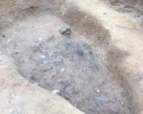 Череп коня и коготь медведя: в калининградской области исследован некрополь скальвов. 01