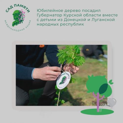 Участники проекта Сад Памяти продолжают высаживать деревья в память о героях, погибших в годы великой отечественной войны. 03