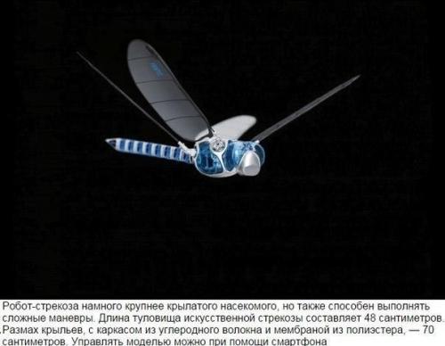 Топ - 10 впечатляющих роботов, андроидов и трансформеров. 06