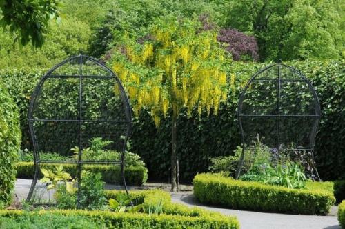 Cад ядовитых paстений в Англии. 04